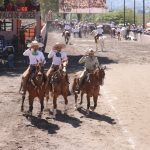 Tercia de coleadores por Tres Regalos