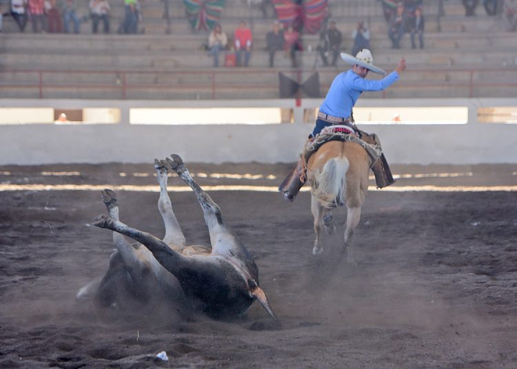 Concluyó el Torneo Nacional del 91º Aniversario de la Federación