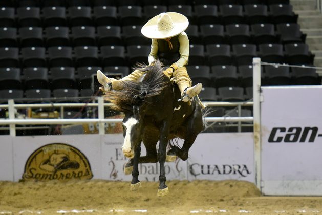 Agradable competencia protagonizó Rosa de Castillo de Baja California