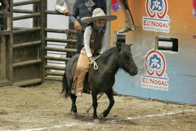 Juan Pablo Vera Cabal, de Villa Oro, completó su jineteo de yegua para 16 puntos