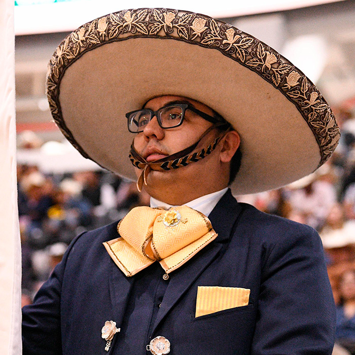 Federación Mexicana de Charrería