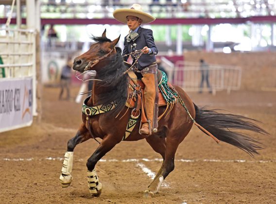 El pequeño Diego Guzmán presentó la cala de caballo de Charros de Morelia "Oro"