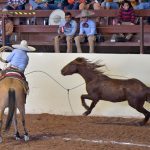 Óscar Chávez Pérez cuajó sus tres manganas a caballo para totalizar 54 tantos