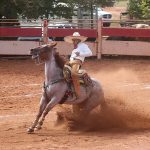 Actividad en los Estados Unidos de América