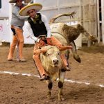 Fabricio Aparicio Hernández cumplió con la monta de toro de Prado Verde