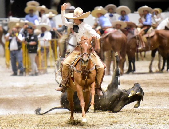 Raúl González abanicando a su toro, sumando puntos buenos para la Escuela de Charrería Venaderos