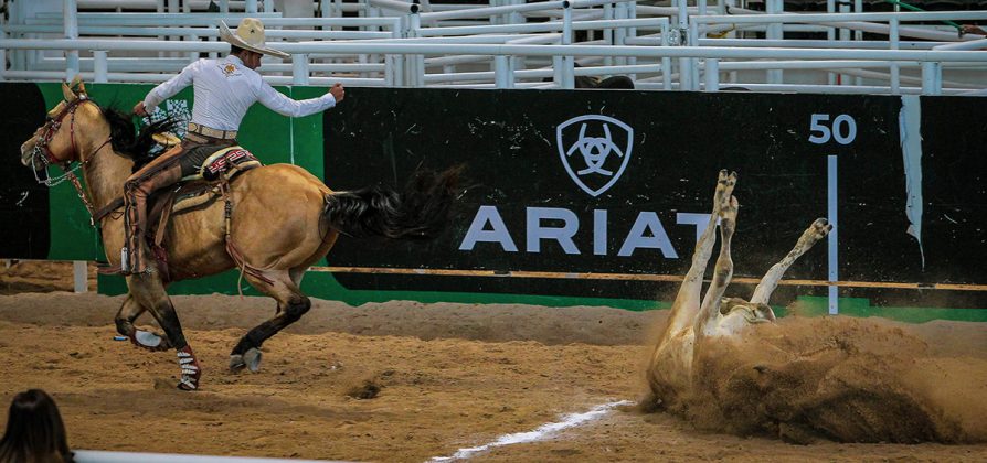 Hiram Trejo, de Puro Peña Grande, abanicando a su toro durante el coleadero de la charreada matutina