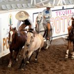 Francisco Muñoz Guerrero completando el paso de la muerte de los Regionales de San José Iturbide