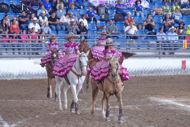 Margaritas Dientes de Leche se han instalado en la tercera posición con 105.00 puntos de promedio