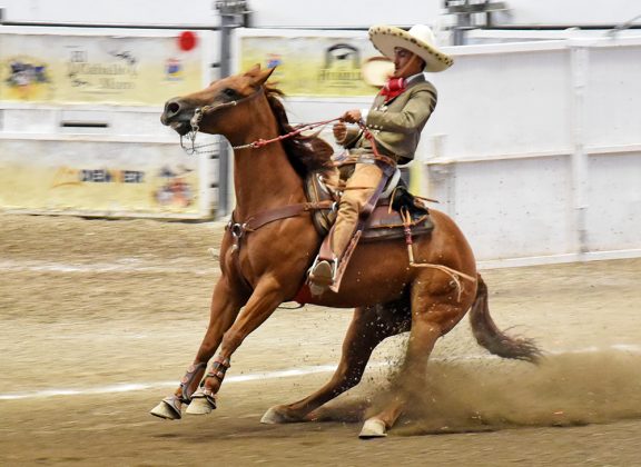 La cala de caballo de Guadalupana de Pegueros fue presentada por Sebastián Rodríguez para cobrar 32 unidades