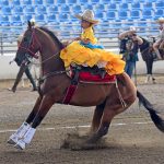 Le pequeña amazona Dafne Cantú Coello presenta la punta de 11 unidades para la escaramuza Hacienda La Esperanza Dientes de Leche