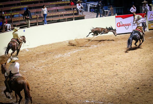 Don José Ramos Narváez, de 79 años de edad, cooperó para El Pedregal "Plata" con una mangana a caballo y el pial en el ruedo