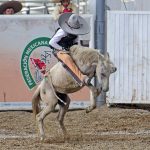 Respondió Juan Pablo Moya Magdaleno con la jineteada de yegua de 19 unidades para Rancho San Juan de Jalisco