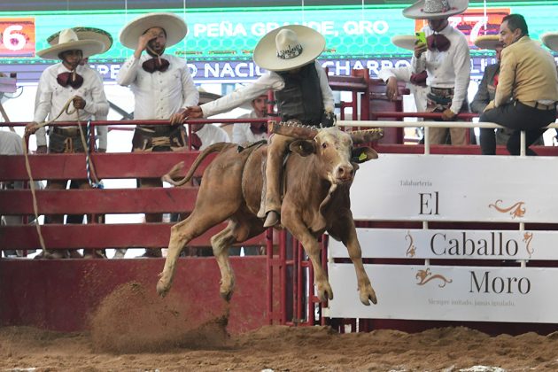 Andrés Campos rescató 15 unidades de la jineteada de toro de Rancho Victoria