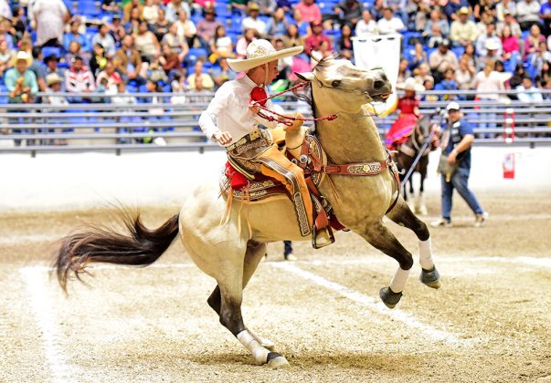 Muy buena la cala de caballo que presentó Luis Gustavo Muñoz Casillas de Rancho El Trébol de Aguascalientes, logrando 37 unidades