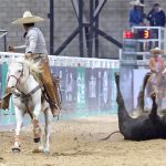 Ya han pasado cinco eliminatorias del Coleadero Nacional y quedan todavía muchas emociones por venir