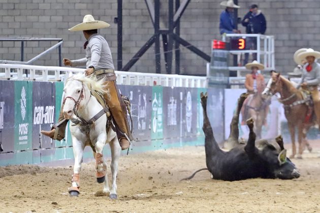 Ya han pasado cinco eliminatorias del Coleadero Nacional y quedan todavía muchas emociones por venir