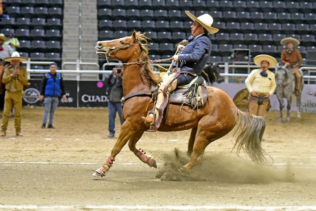 La cala de caballo de Carlos Maurer Espinoza aportó 33 unidades a la cuenta de Hacienda Tamariz