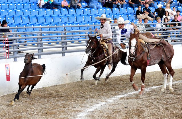El joven hidalguense Cristopher Villeda López cuajó dos manganas a caballo para anotar 46 tantos en la eliminatoria de charros completos infantiles "B"