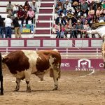 El zurdo Eduardo Acosta Asencio remata su pial en el ruedo durante la terna de Rancho Las Cuatas