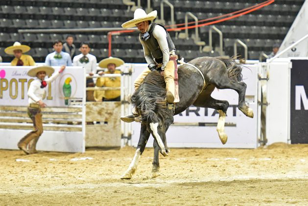 El espectáculo ha estado al rojo vivo en la segunda parte de la ronda eliminatoria de este Campeonato Nacional Charro 2024