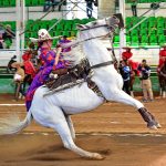 Las Regionales de Guerrero alcanzaron un promedio final de 276.66 puntos