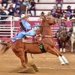 Fueron 12 unidades los que ganaron en puntas las damas colimenses de Camino Real
