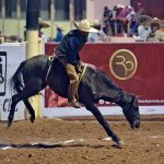 Con 60 años de edad, Abel Villicaña Cervantes ejecutó la monta de yegua de 16 unidades para La Laguna de California