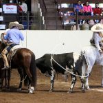 Precioso pial de contraviento que remata Mauricio Díaz Gutiérrez de Rancho Las Flores