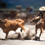 En los tradicionales coleaderos zacatecanos no es tan importante las buenas formas al colear como en la charrería