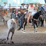 Un pialazo de 22 unidades logró Enrique Córdova Jaimes para los Charros del Pedregal "Plata"