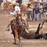 Miguel Aceves Rosales fue el mejor coleador de San Lorenzo Yanga con 41 unidades acumuladas