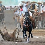 Una redonda contraria cosechó Benjamín Toral Toral en su primera pasada de colas para Arroyo Zarco