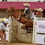 Soberbio reparo que aguantó Guadalupe Adán Mariscal Trinidad, jinete de yegua de Camino Real de Oklahoma