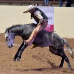 Armando Negrete Miranda ejecutó la monta de yegua de 12 unidades para El Relicario