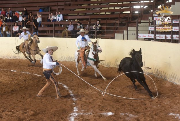 Aldo Alfonso Elorza Vega escribió una mangana de cuenta por Villa del Carbón