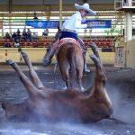 Hidalgo compitió en tercer lugar y cerró debajo de las tres centenas, agenciándose la medalla de bronce