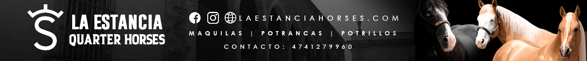 ESTANCIA QH_BANNER_WEB_NCHARRO