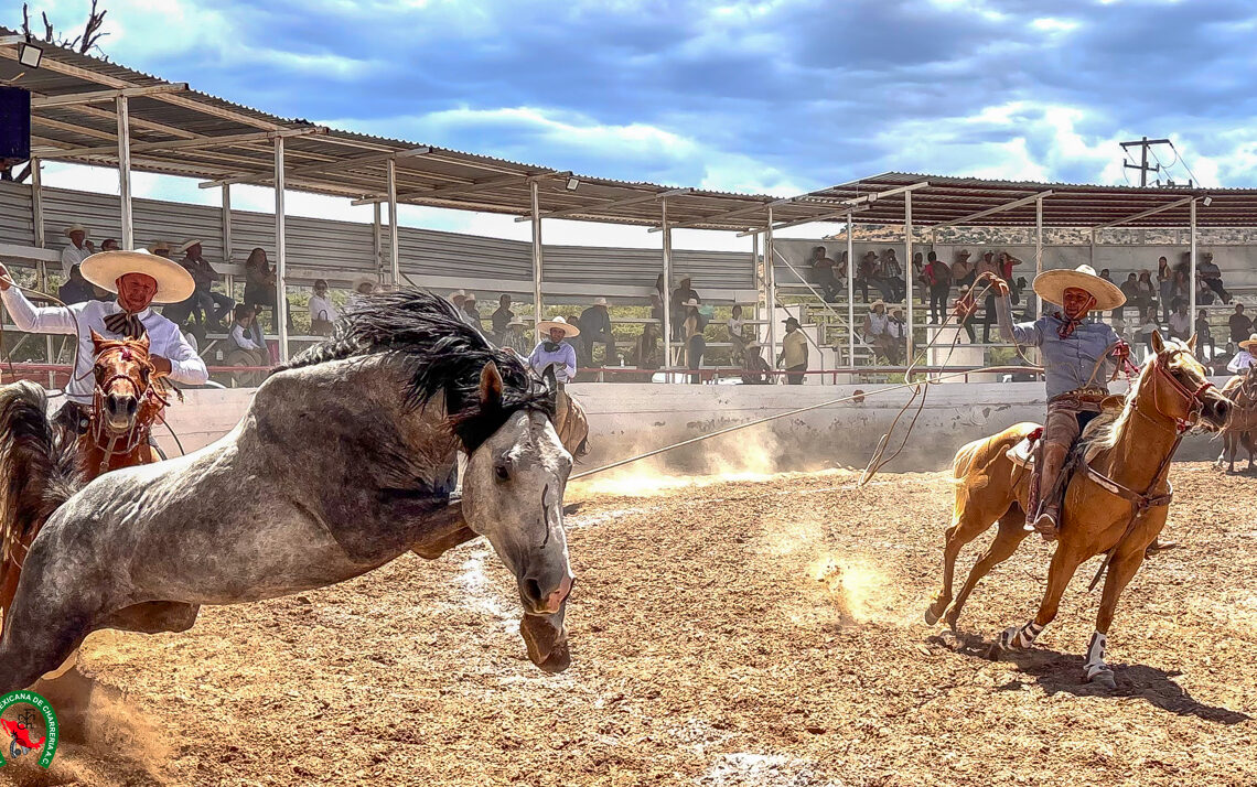Con buenas probabilidades Rancho El Potrillo “Tres Estrellas” en Durango