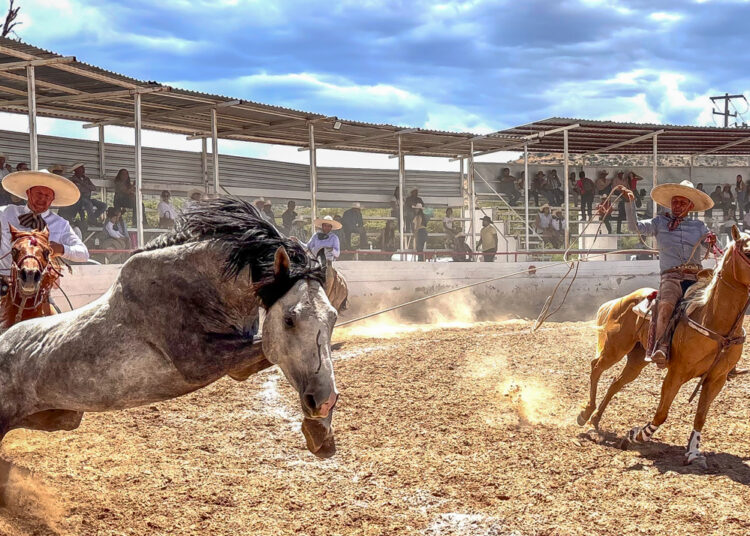Con buenas probabilidades Rancho El Potrillo “Tres Estrellas” en Durango