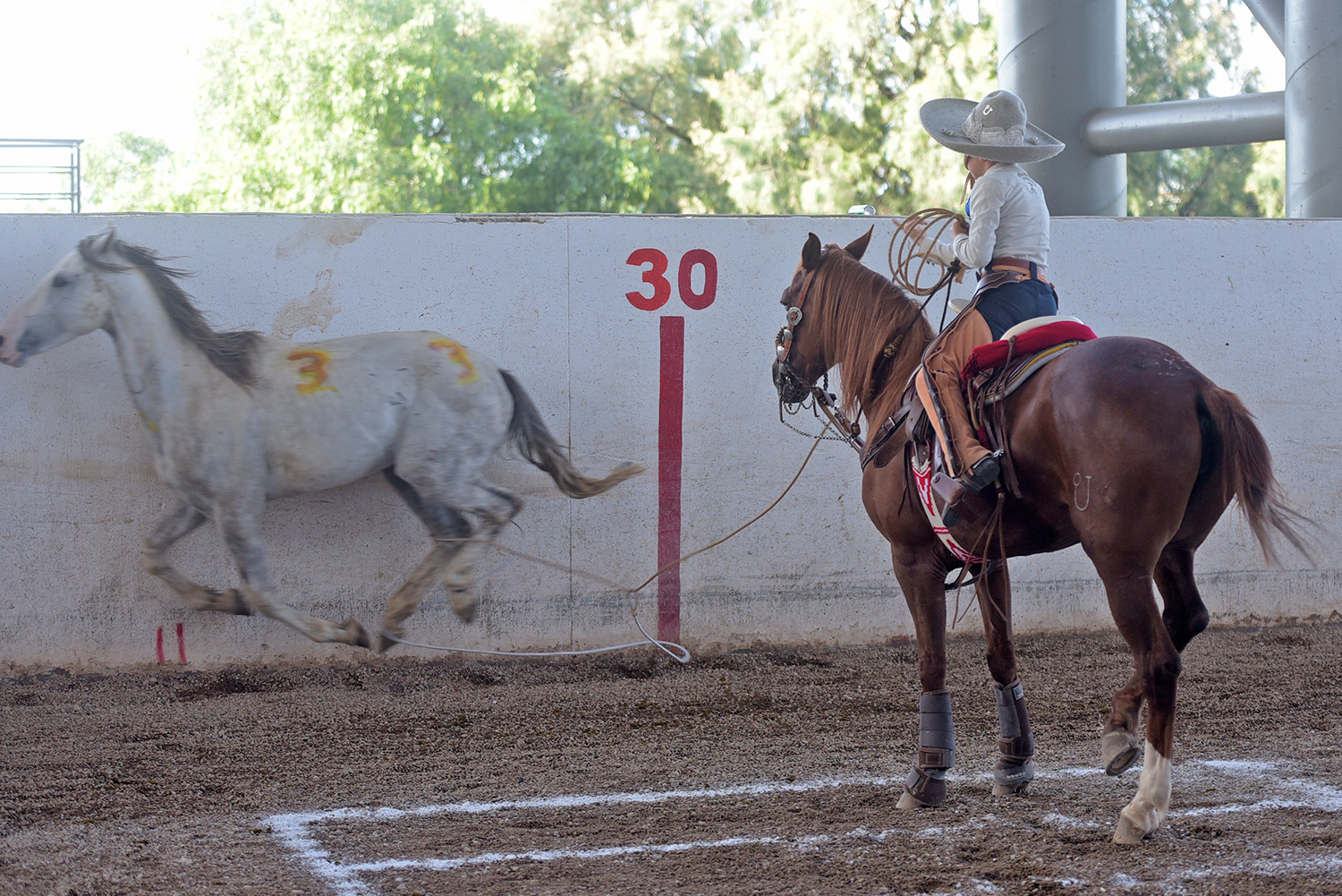 Resultados finales del XXXI Campeonato Nacional Charro Infantil, Juvenil y de Escaramuzas Aguascalientes 2024