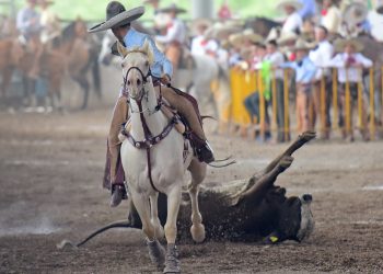 Tabla General de Campeonatos Regionales 2025