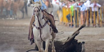 Tabla General de Campeonatos Regionales 2025
