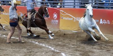 Rancho El Olivo timbra las seis manganas y se acerca a la semifinal “AAA”
