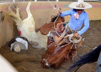 Convocatoria para la Licitación de Seguro Colectivo