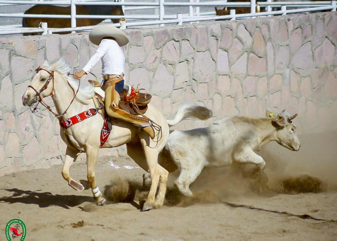 Hierro Santo dominó el Campeonato Estatal de Campeche 2026