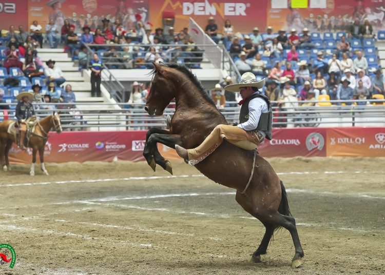 Los Charros de Arandas buscan un sitio en la final nacional “AA”