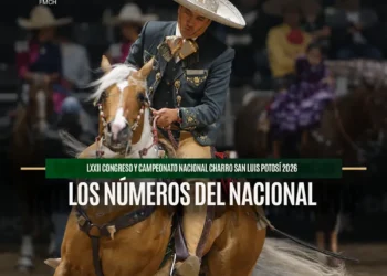 Los Números del Nacional: San Luis Potosí 2026 en cifras