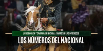 Los Números del Nacional: San Luis Potosí 2026 en cifras