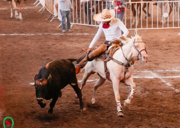 Campeonato Regional Norte-Noroeste 2026